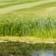 breyton-golf-course